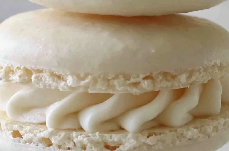 Delicious aquafaba vegan macarons on a decorative plate